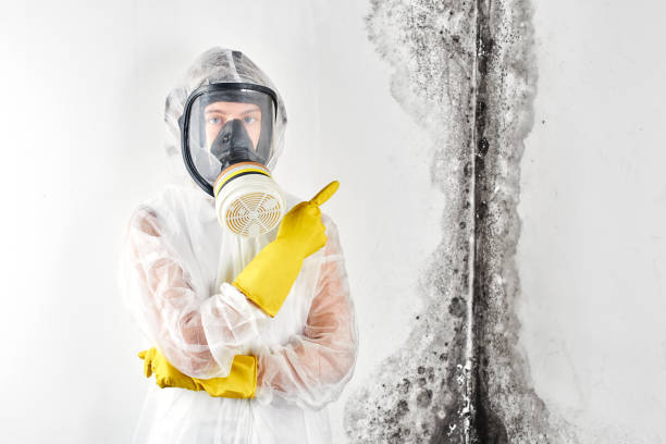 Fairfax, IA Mold Inspection Company